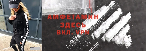 ПСИЛОЦИБИНОВЫЕ ГРИБЫ Алзамай