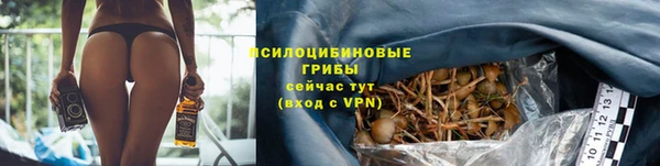 кокаин премиум Алексин
